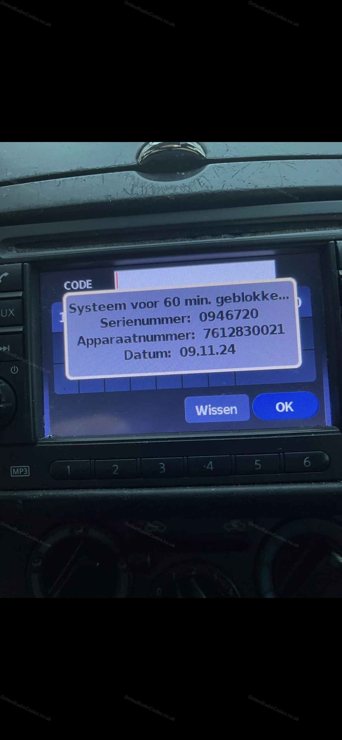Nissan Connect screen showing the serial and device numbers